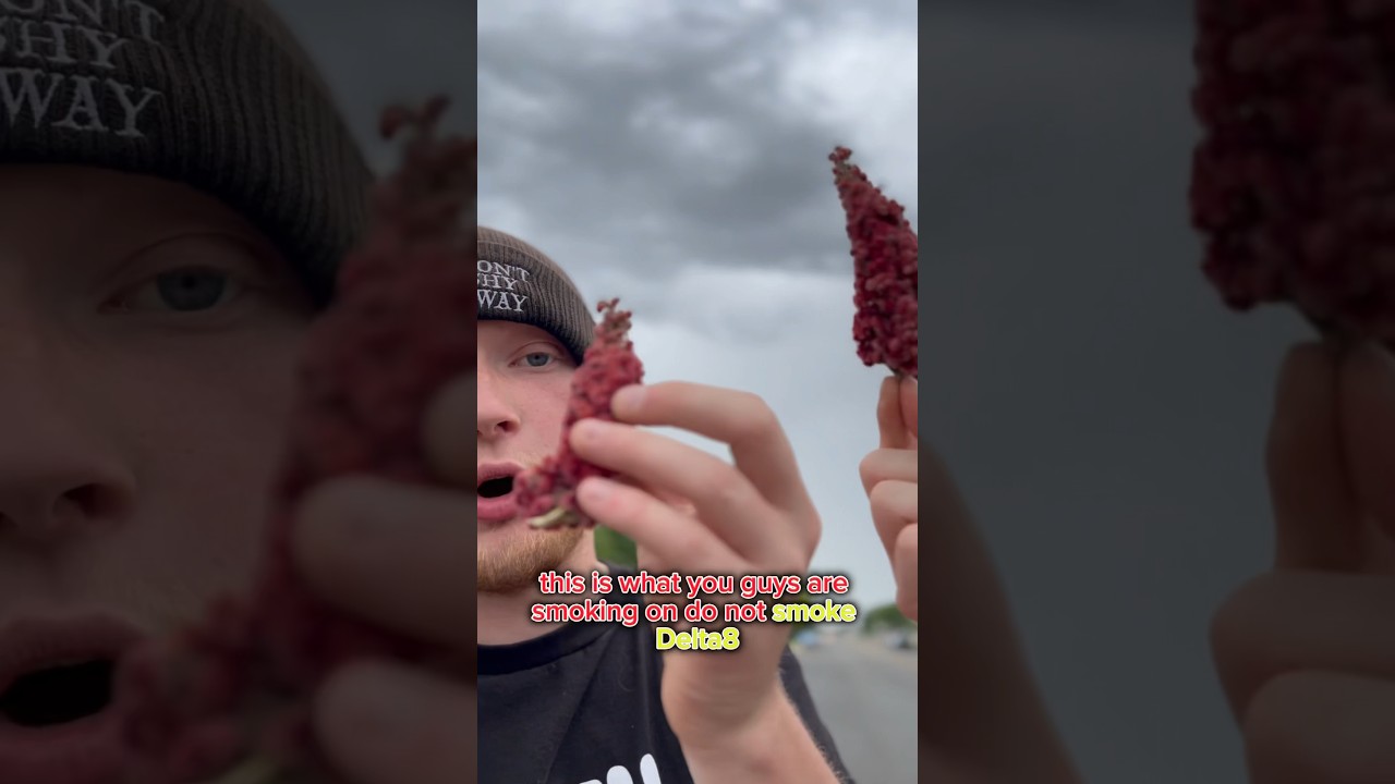 This Is Why You Shouldn’t Smoke Delta-8!