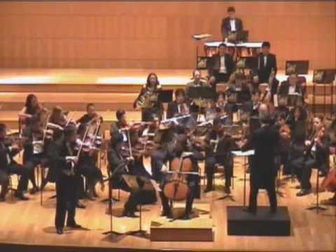 BrahmsDouble Concerto Op 102 fragments 1 mov Cello...