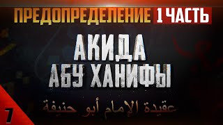 Предопределение Аллаха [1 часть] | 'Акыда Абу Ханифы [7 урок] | Умалат Абу Усама