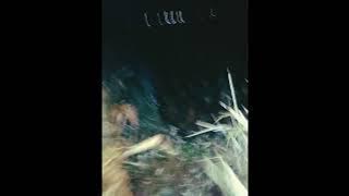 Cover Roma irama seribu satu cara by bayu Pratama AFC adinda musik