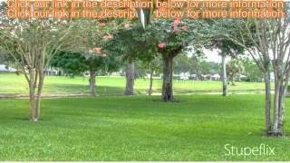 4-bed 4-bath Single Family Home for Sale in Valrico, Florida on florida-magic.com