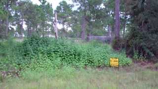 1/4 Acre at 1404 West 11th St, Lehigh Acres, FL  33972 for $4,900 - SOLD Video Tour Of Residential At 1400 E 11th Street Lehigh Acres Fl 33972