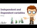 Mastering Variables in Plant Growth Experiments