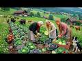 Peaceful Mountain Village Life - Harvesting Fresh Vegetables &amp; Simple Farm Living