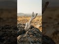 ÇIKARABİLİRSEN
