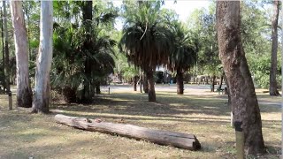 Big 4 Breeze Holiday Park Carnarvon Gorge