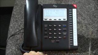 ESI Training Part 7 - Using Voice Mail - Liberty Technology Solutions