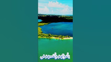 سورة التوبة و..كا..نك تسمعها لأ..و..ل مر.ة 💝...❤️💟؛؛؛💓💚🌹،🌼بصوت الشيخ حمزة مد بو.ح 💘🌸💜..💓،.💙💗💞