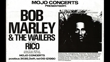 Bob Marley and the Wailers - Concert 1977 Den Haag - Netherlands