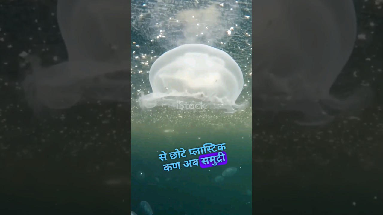 surprising facts about ocean pollution 