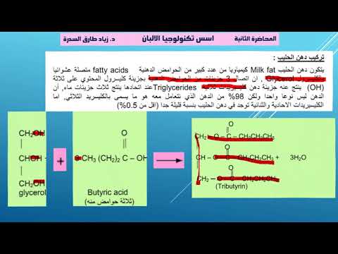 فيديو: الحليب الأسمنتي: ما هو ، كيف يصنع الحليب ، استهلاك الخليط لكل 1 م 3 من الطين الموسع ، نسب الهاون ، تكنولوجيا صب مواد البناء