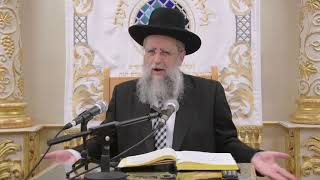 הרב דוד יוסף שליט״א בעל הלכה ברורה שיעור הלכות כניסת שבת screenshot 5