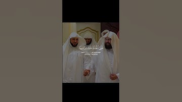 تلاوة رائعة 😍🤍😍الشيخ ماهر المعيقلي