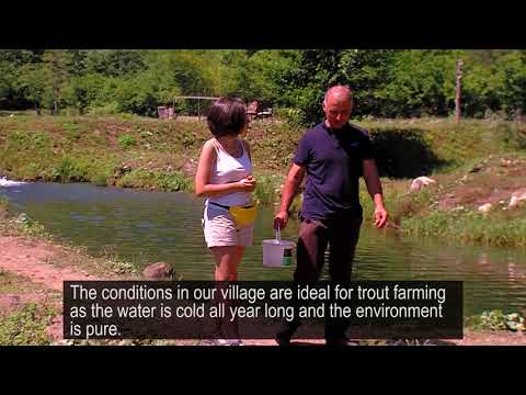 საკალმახე გურიაში - კოოპერატივი „ქულბაქი“