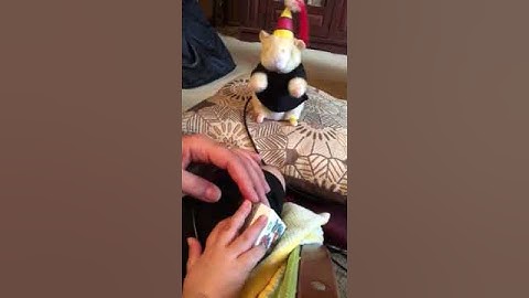 Adaptive String Switch