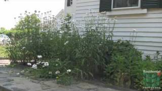 103 Broad Street video tour