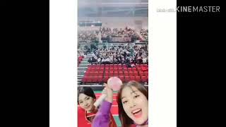 🍭🍭 TWICETAGRAM VIDEOS IN 2019 🍭🍭