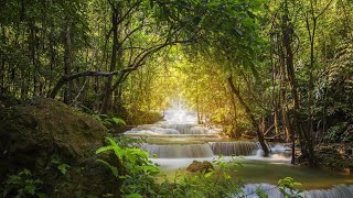 Relaxing waterfalls sound to put you in a better mood ~ Study - relax - stress relief