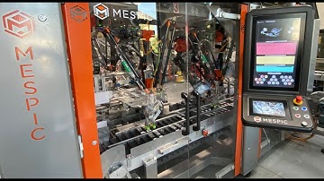 Mespic case packer for sticks