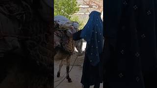 Hard Life in Afghanistan’s Mountains | Cooking Traditional Local Food | Village Life #food #rural
