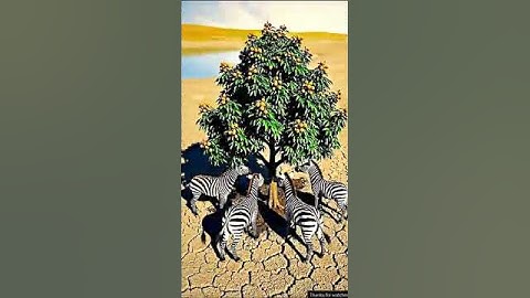 The Zebra saved the litchi tree from drying up by seeing water 😭 #ai #tree #save #water