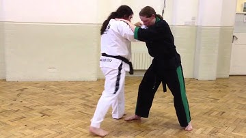 Do-San alternative Application TaeKwonDo