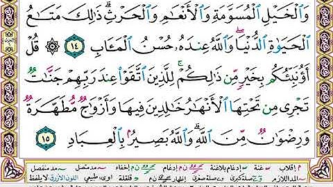 سورة آل عمران  / عبد الباسط عبد الصمد تجويد ( مكتوبة )