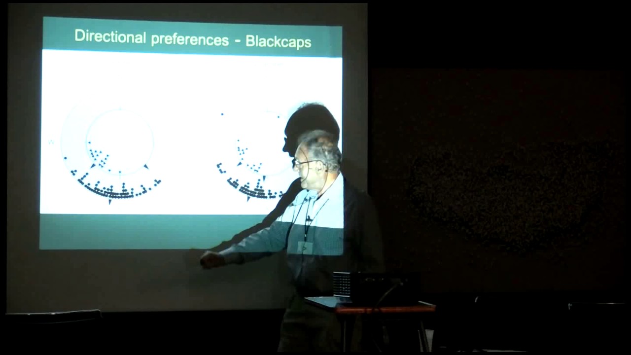 Seminarios EBD, Ian Newton, 7/06/2017