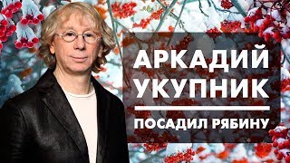 Как посадить рябину? С Аркадием Укупником сажаем рябину.