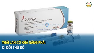 Vaccine sốt xuất huyết sẽ có mặt ở Việt Nam vào tháng 9/2024