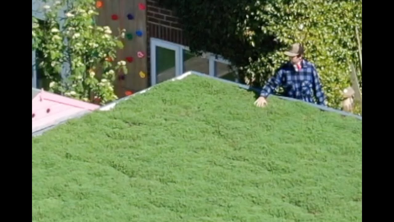How to install a living roof / green roof. Product from www ...
