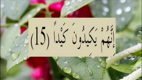 القران الكريم سورة الطارق الاية 15