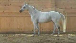 1997 Herzzauberpralat Mare