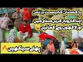 Sabzi mandi business how to start vegetable business in pakistan hamari sabzi mandi