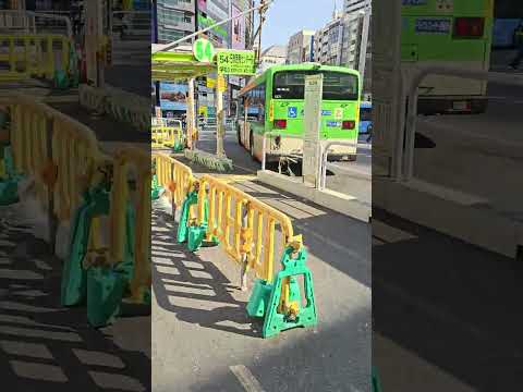 Welcome to Shibuya 4K UHD HDR