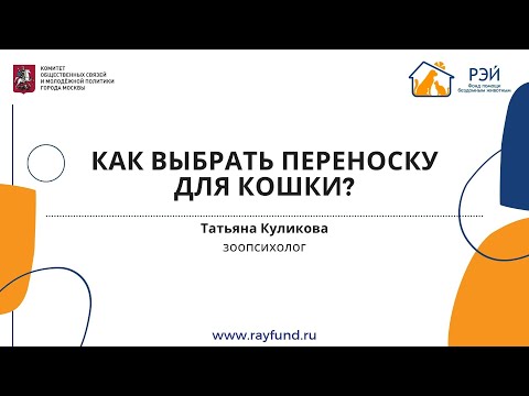 Как выбрать переноску для кошки?