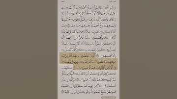 تلاوة خاشعة من سورة البقرة الآيات ٢٦ إلى ٢٨ | القارئ ياسر الدوسري #اكسبلور