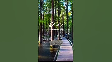 Powerful Morning Dua for Forgiven | اللّهُمَّ إنّي أَسْأَلُكَ العَفْوَ | Start Your Day with Peace