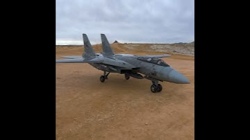 F 14 Tomcat (for Poser) 3D model from CGTrader.com