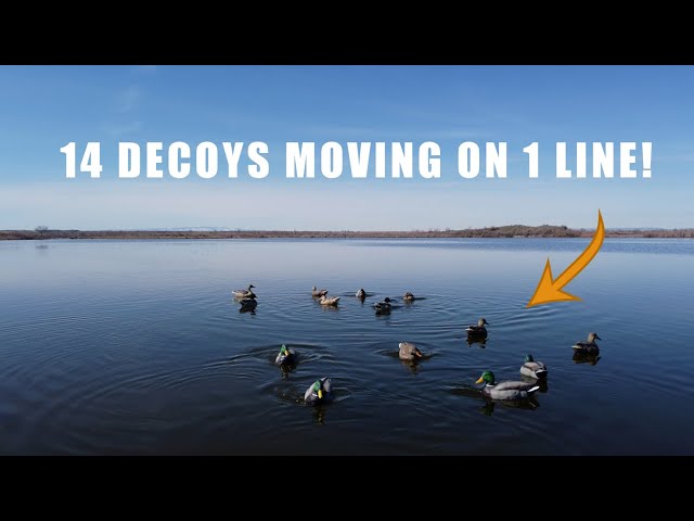 The most realistic motion you can put in your decoy spread this year. -  Double Ultimate 