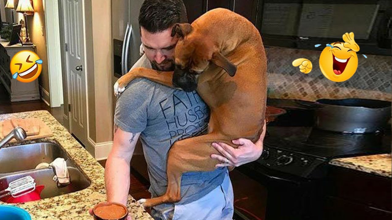 FUNNIEST DOGS On The Internet 😂🐶 I DARE You NOT to LAUGH #30