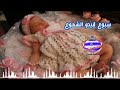 سبوع قيدو الشموع سبوع قيدو الشموع