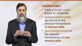 BIO202_Topic145