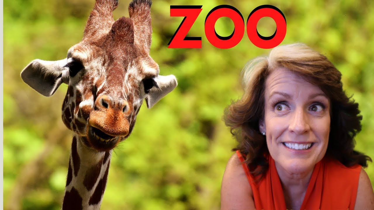 Things To Do Near Daytona Beach Short Trip to Central Florida Zoo