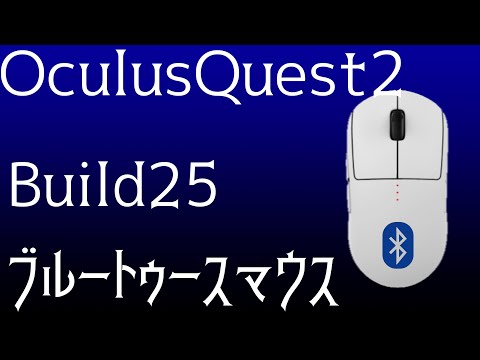 Oculus Quest 2 で出来ること！ブルートゥースマウスで操作【Build25】