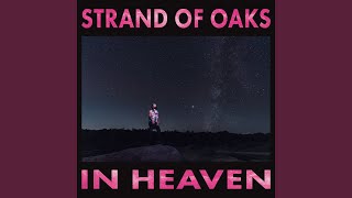 Video thumbnail of "Strand of oaks - Somewhere in Chicago"