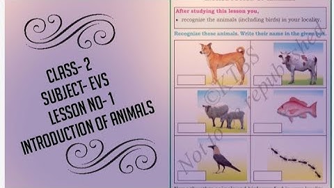 #2nd std English medium#EVS subject#1st lesson#Introduction of animals