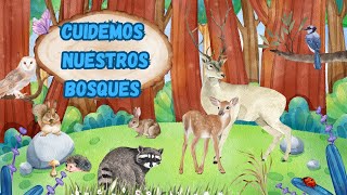 cuidemos nuestros bosques