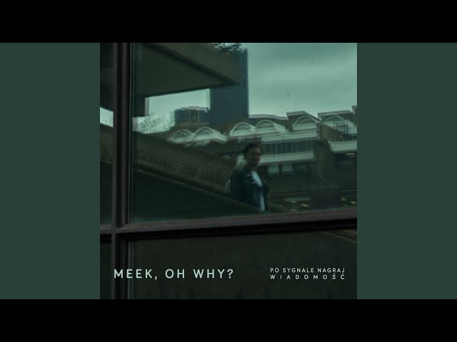 Meek, Oh Why? - PSNW