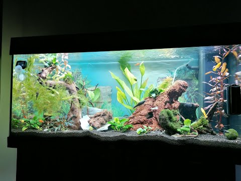 Juwel Rio 180L